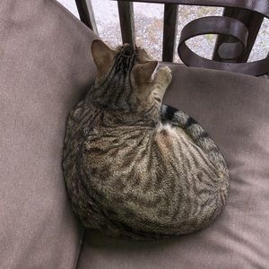 Meet your Posher, Gabrielle